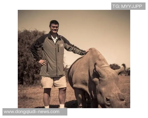 左手姚明在赛场上的传奇表现与篮球技巧的完美结合